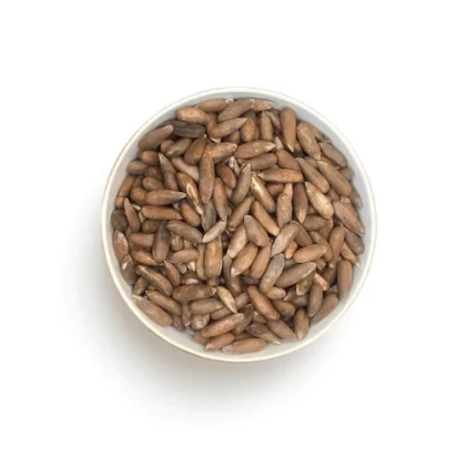 Pine Nuts Chilgoza Afghani Premium Quality 250gm