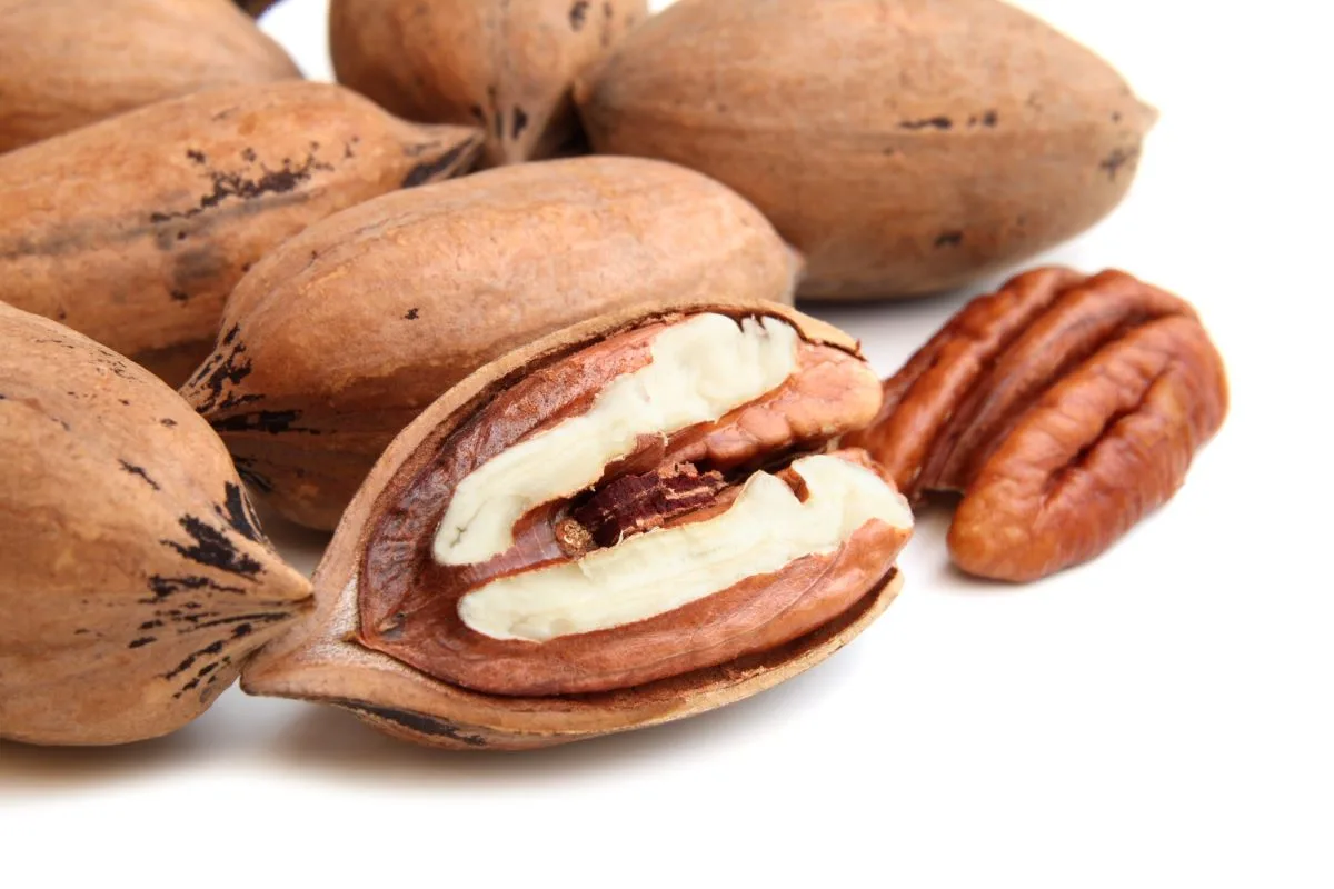 Pecan nuts halves for heart health