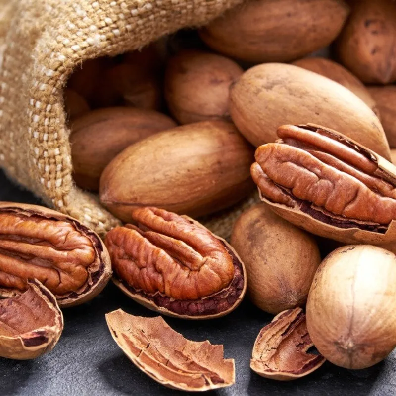 Pecan nuts in shell closeup