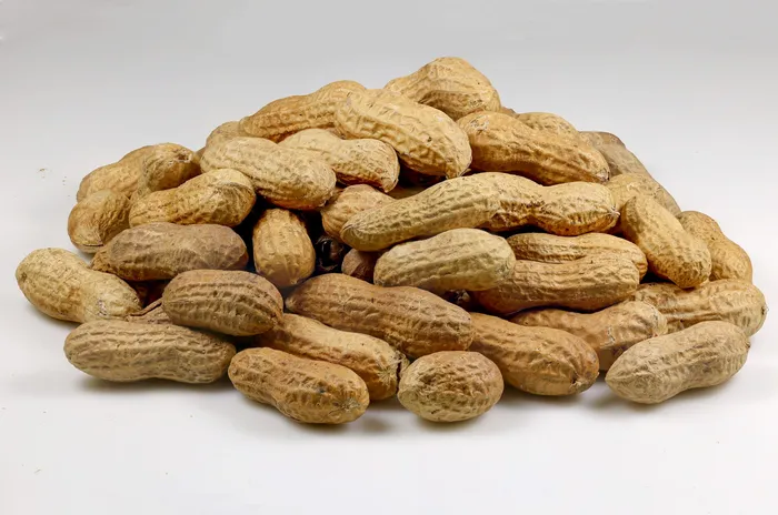 Peanuts — Moong phali