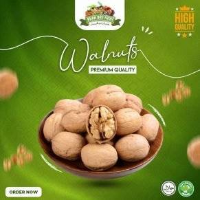 Best Kaghzi Akhroot (Walnuts) to Buy Online in Pakistan